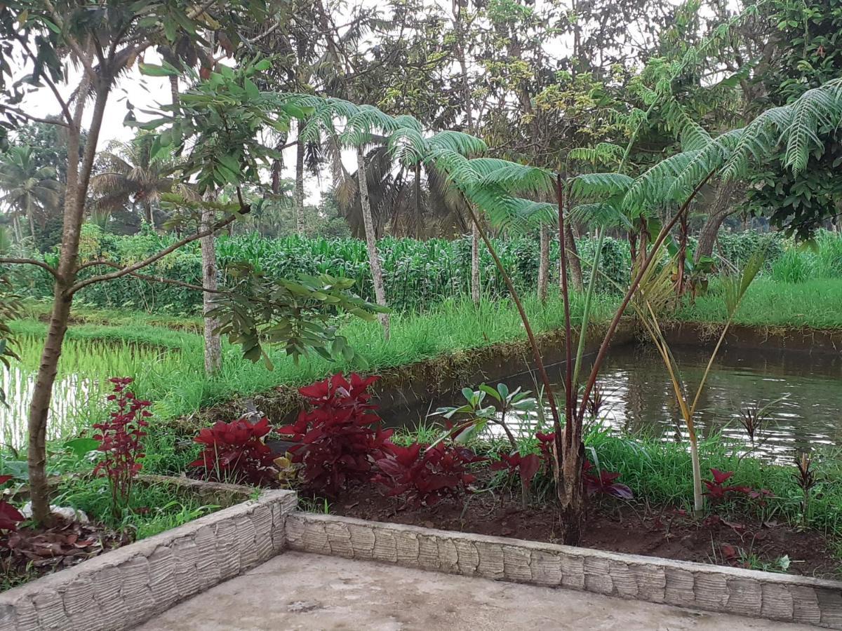 Eltari Homestay Tetebatu Extérieur photo