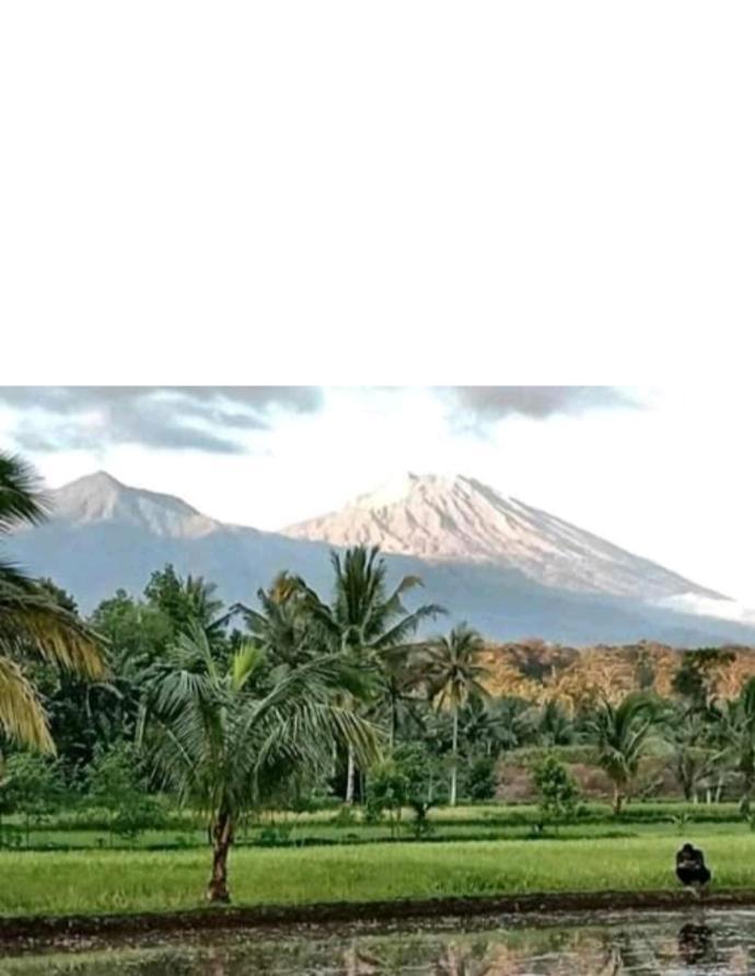 Eltari Homestay Tetebatu Extérieur photo