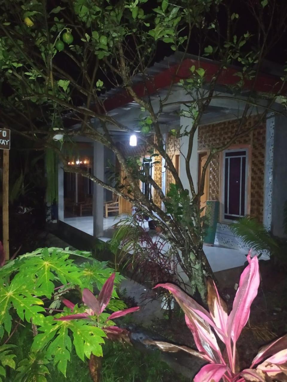 Eltari Homestay Tetebatu Extérieur photo