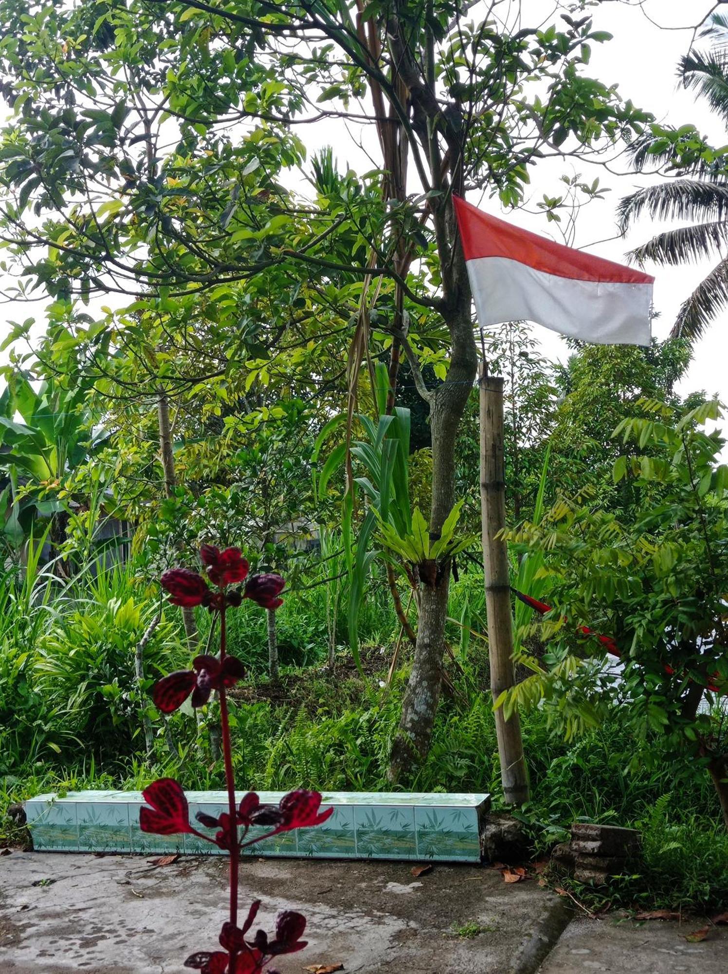Eltari Homestay Tetebatu Chambre photo